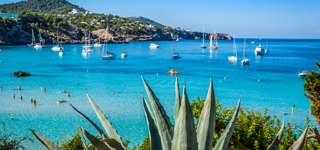 Cala Tarida