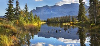 Alberta