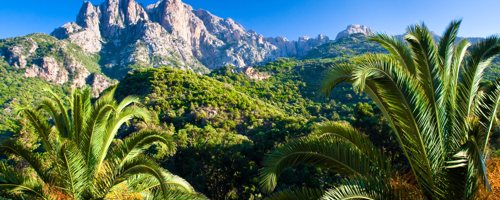 vergeetachtig Woedend Voorrecht Vakantie Corsica - Welkom op île de Beauté | TUI