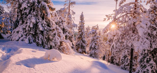Kuusamo