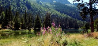 Franse Alpen