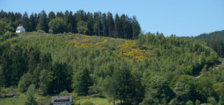 Hausen-Roth