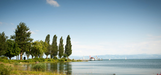 Immenstaad