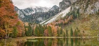 Inzell