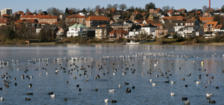 Kolding