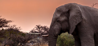 Windhoek