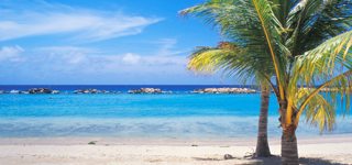 Palm Beach