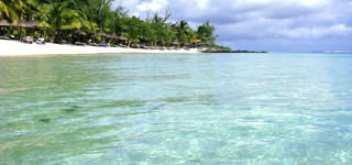Palmar