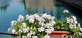 Peschiera del Garda