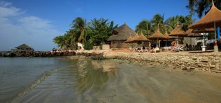 Saly