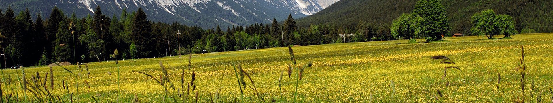 Seefeld