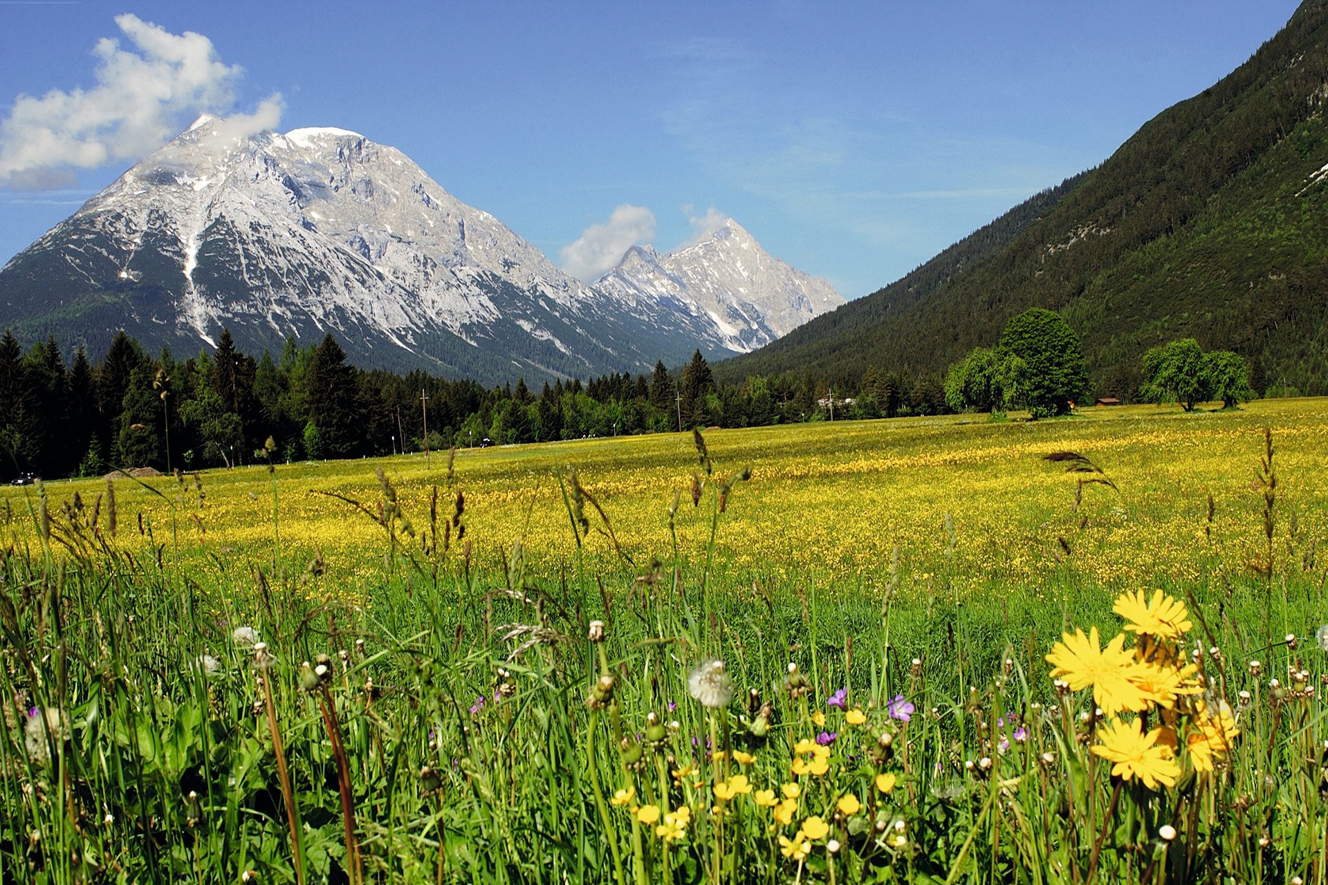 Seefeld