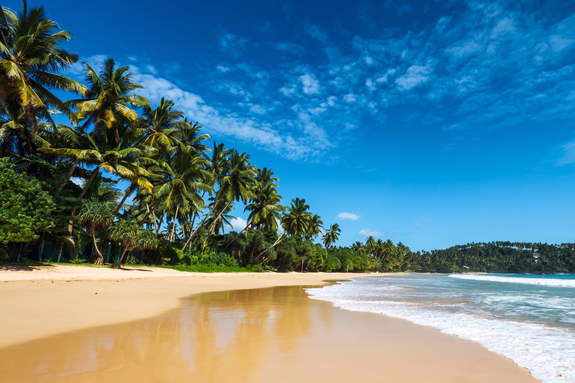 Vakantie Sri Lanka - Goedkoop naar het groene Sri Lanka | TUI