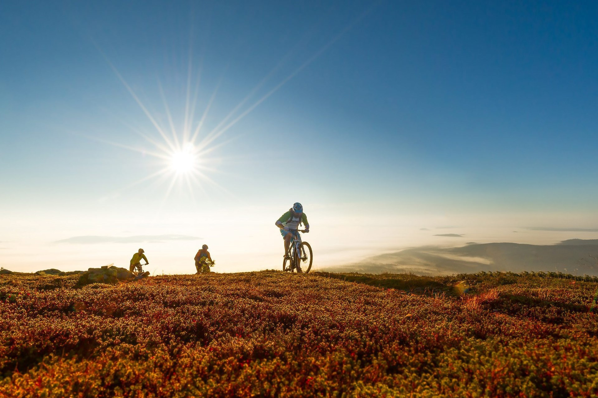 Trysil