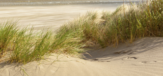 Westende