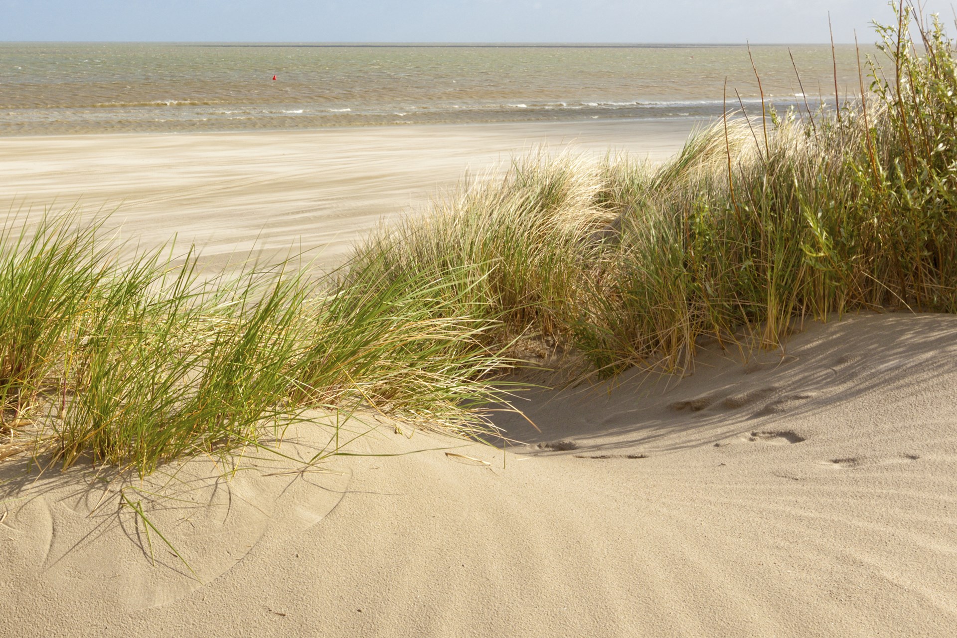 Westende