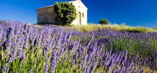 Provence