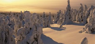 Kuusamo