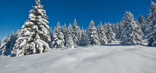 La Rosière