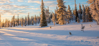 Saariselkä