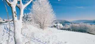 Sauerland