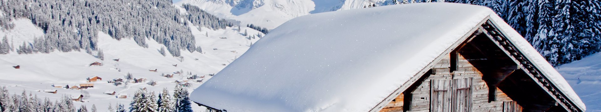 Skigebied Adelboden - Lenk