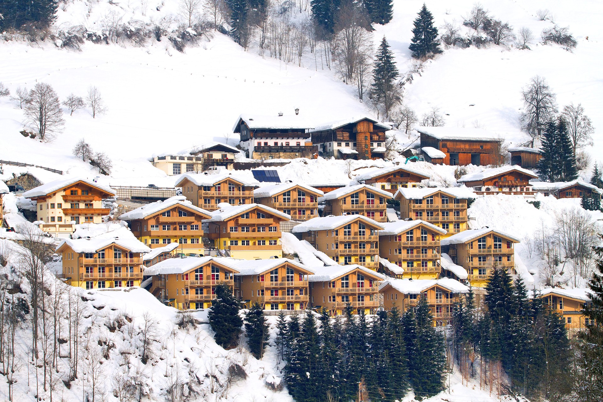 Viehhofen